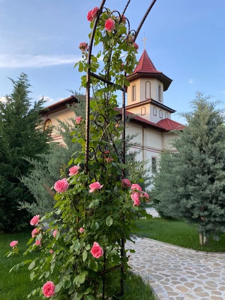 Galerie foto mănăstire 18